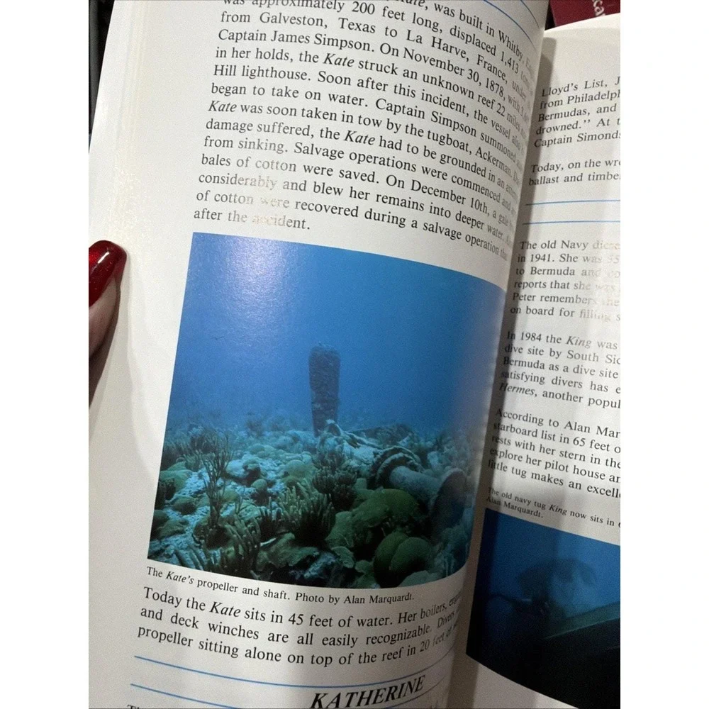 BERMUDA SHIPWRECKS Shipwreck Treasure Lost Ships Ship Reef Diving Dive Book